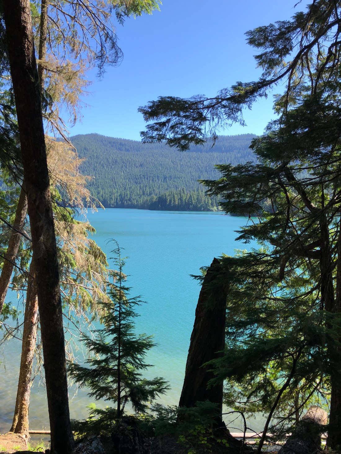 Packwood Lake