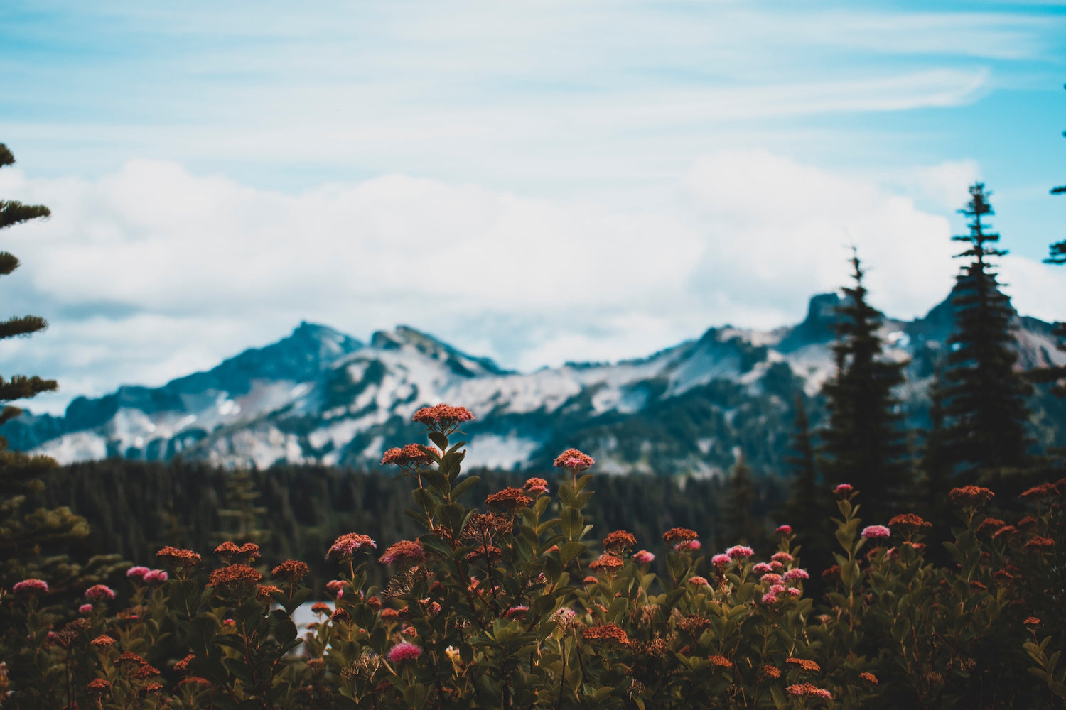 Mount Rainier National Park, the goat rock mountains, right outside of Packwood, WA